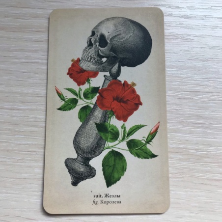 Таро Античной Анатомии