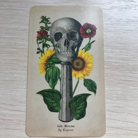 Таро Античной Анатомии