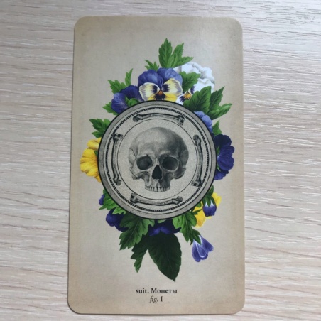 Таро Античной Анатомии