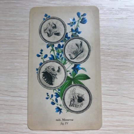 Таро Античной Анатомии