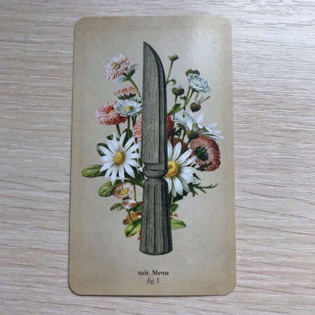 Таро Античной Анатомии