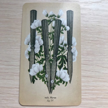 Таро Античной Анатомии