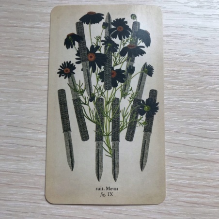 Таро Античной Анатомии