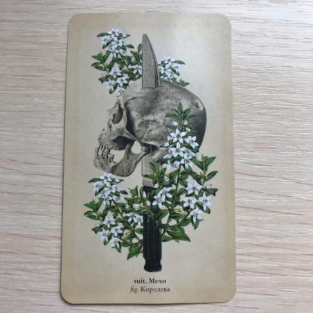 Таро Античной Анатомии