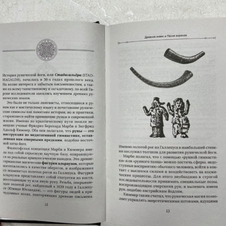 Большая Книга Рун (Н. Журавлев)