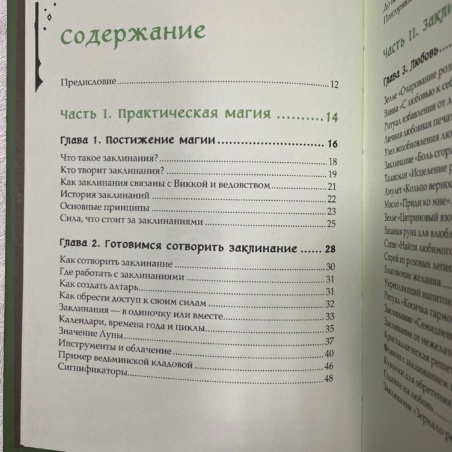 Книга заклинаний для новых ведьм (Амброзия Хауторн)