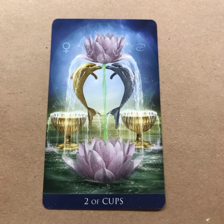 Таро Миллениум Тота