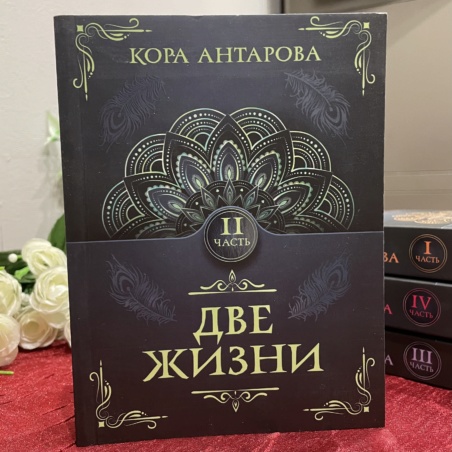 Книга Две Жизни том 2