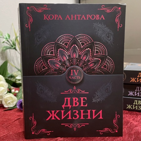 Книга Две Жизни том 4