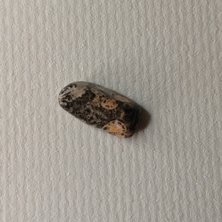 Яшма леопардовая галтовка 1 см.