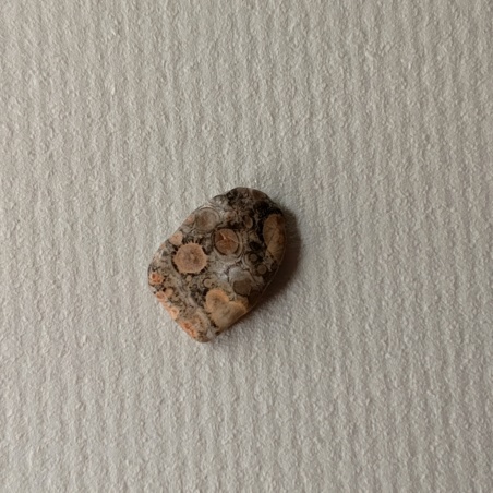 Яшма леопардовая галтовка 1 см.