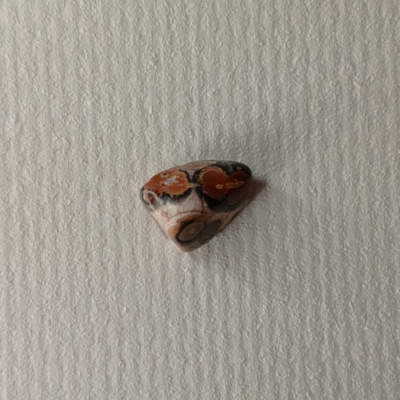 Яшма леопардовая галтовка 1 см.