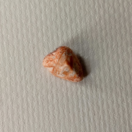 Яшма леопардовая галтовка 1 см.