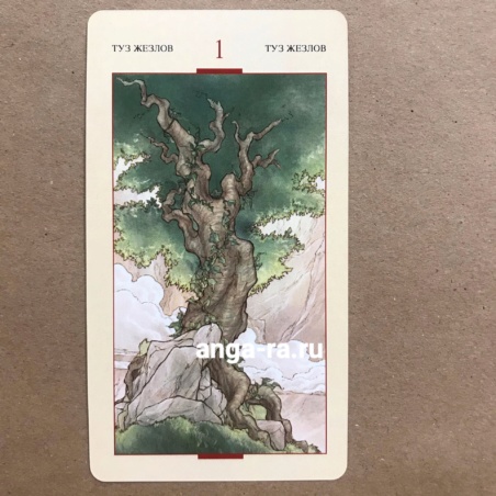 Таро Святого Грааля