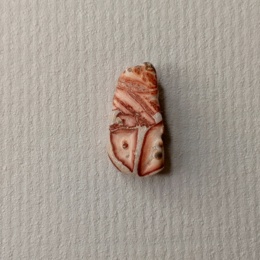 Яшма леопардовая галтовка 1 см.